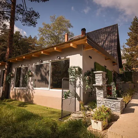 Apartment Pogled Wellness I