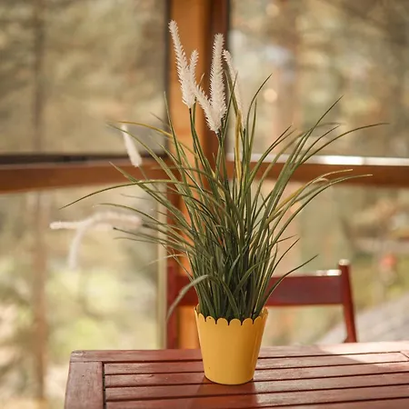 Pogled Wellness I Apartamento *