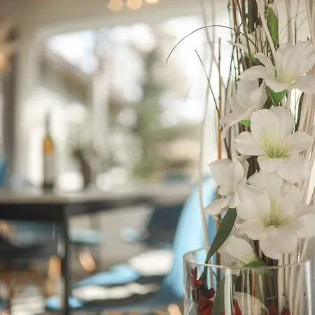 Pogled Wellness I Lejlighed *