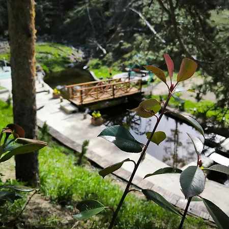 Pogled Wellness I Divcibare