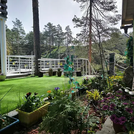 Pogled Wellness I * Divčibare