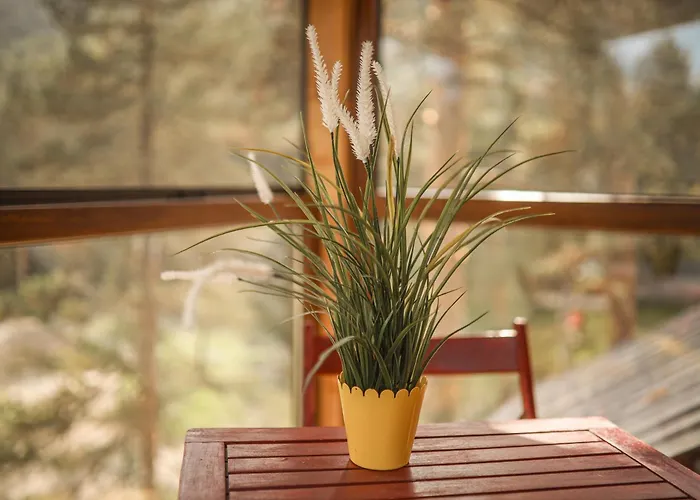 Pogled Wellness I Apartamento *