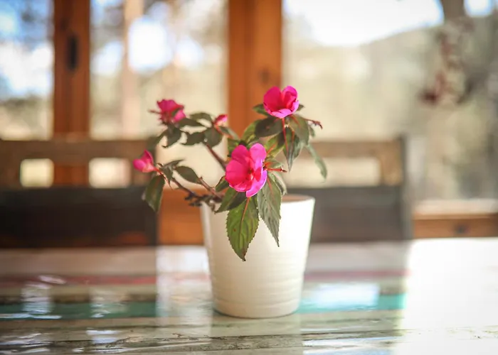 Pogled Wellness I アパート Divčibare